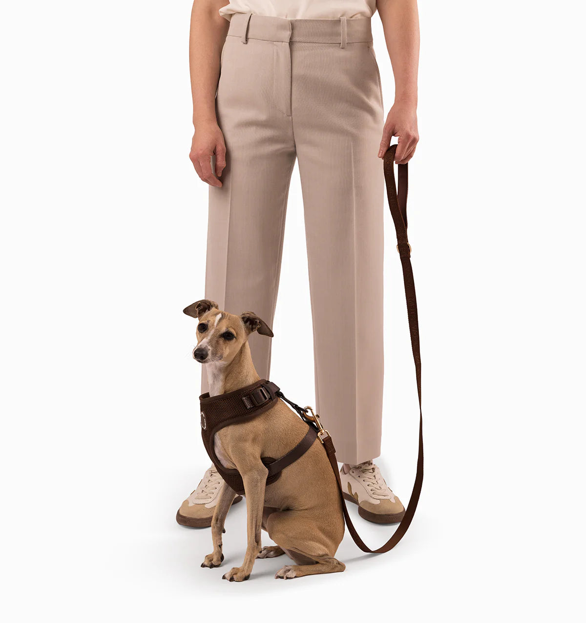 Chocolate Brown 3-in-1 Hands Free Dog Lead