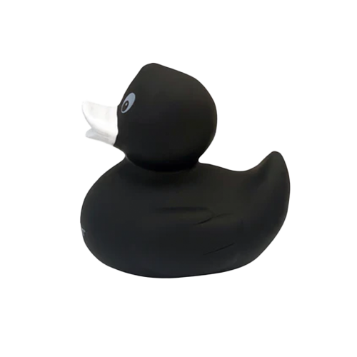 BATH TIME RUBBER DUCKIE