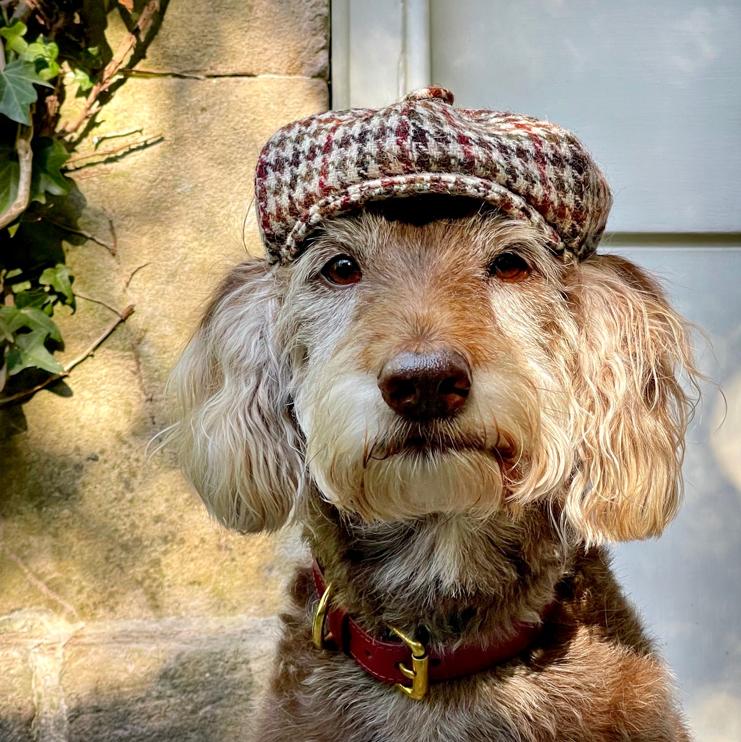 Elsdale Baker Boy Hat