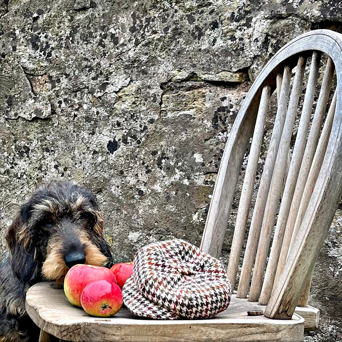 Elsdale Baker Boy Hat