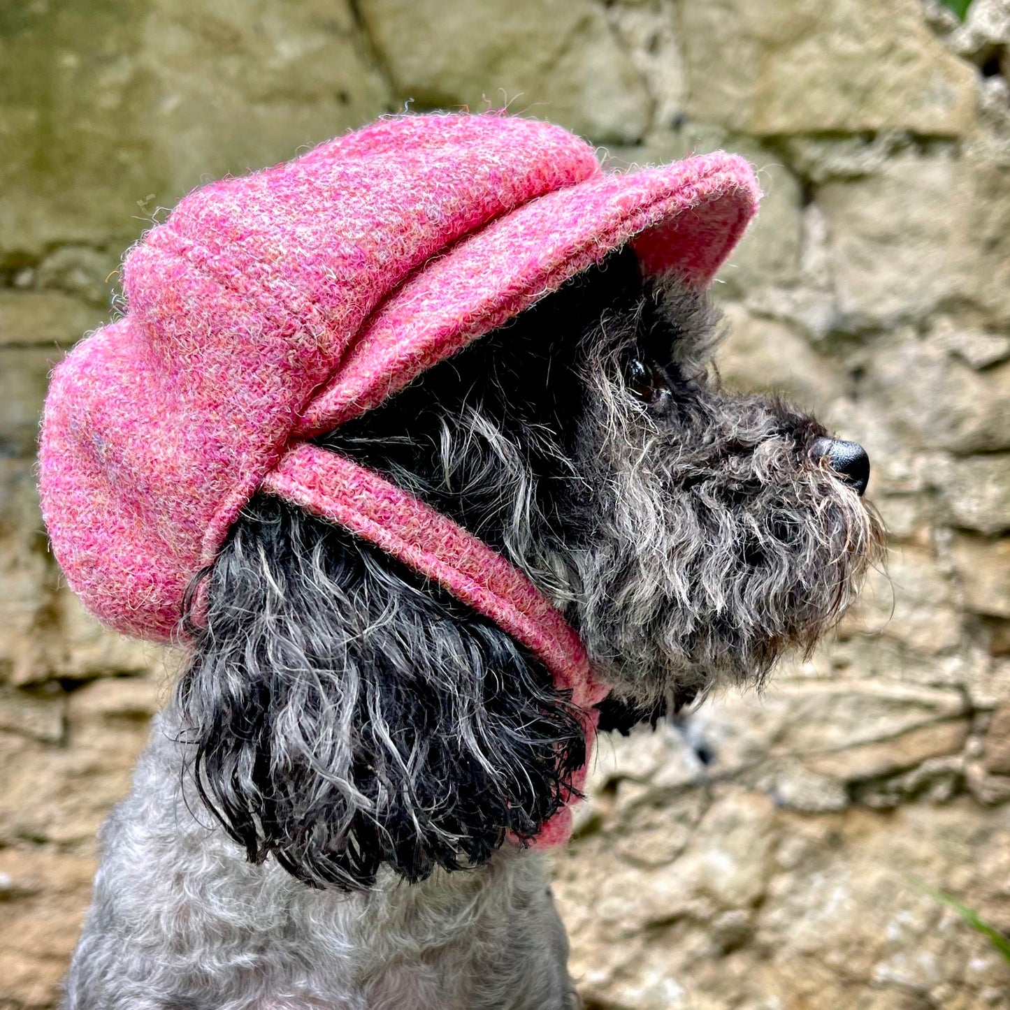 Hat Baker Boy Morris Rose