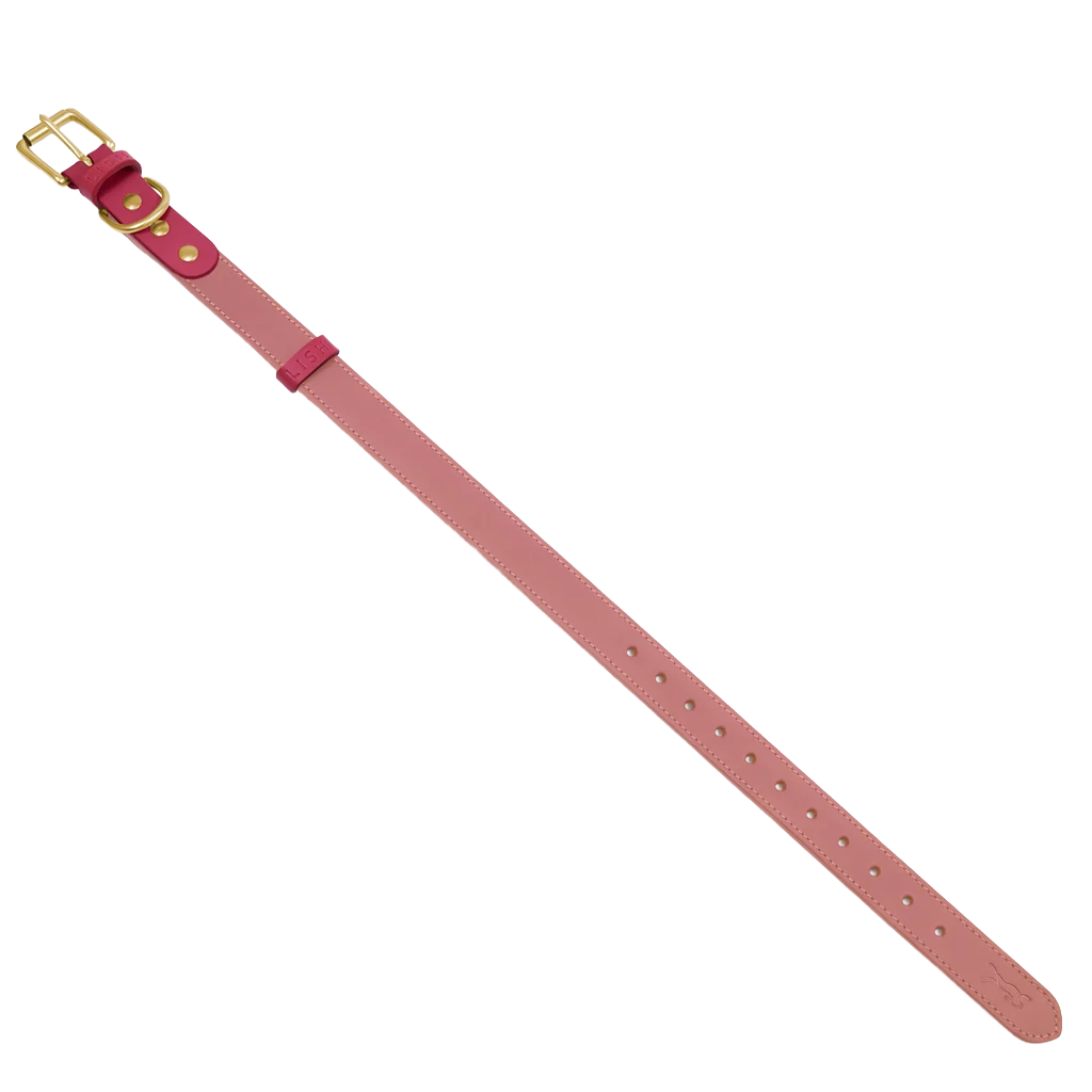 Spencer Rhubarb Pink Designer Luxury Leather Dog Collar