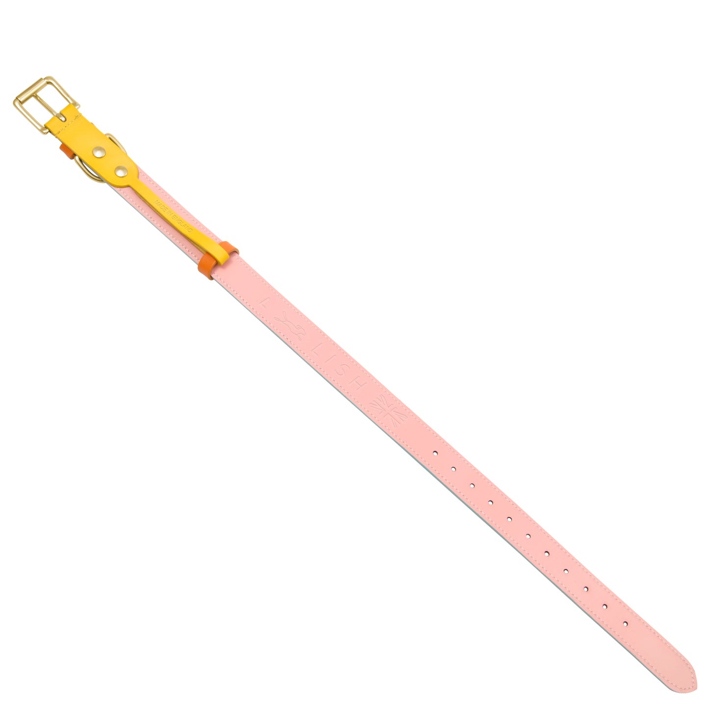 Spencer Powder Blue Designer Luxury Leather Dog Collar