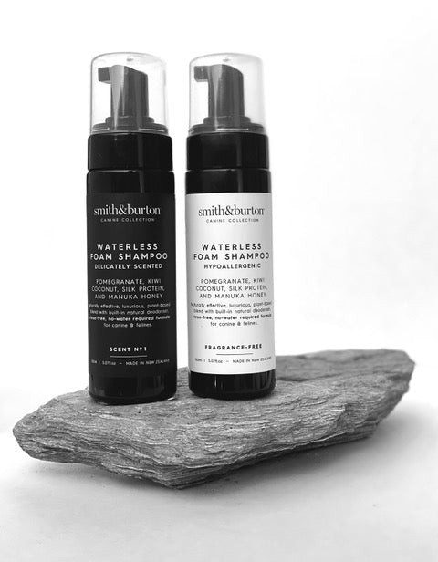 WATERLESS FOAM SHAMPOO DELICATELY SCENTED - 150ML