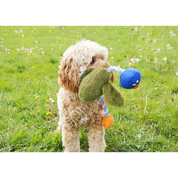 Delia Duck Dog Toy
