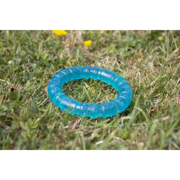 Biosafe Blue Puppy Ring