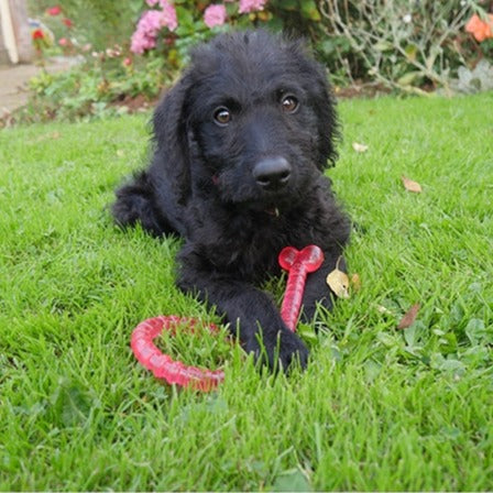 Biosafe Pink Puppy Bone