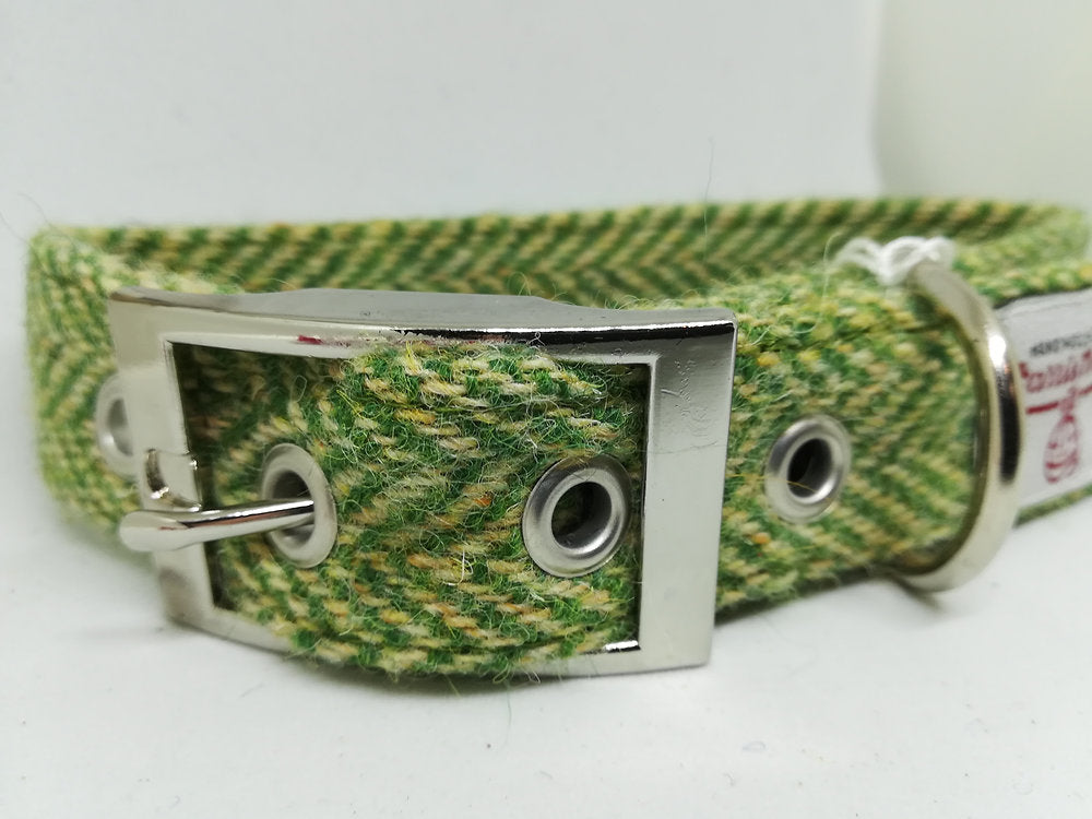 Green Herringbone Tweed Collar