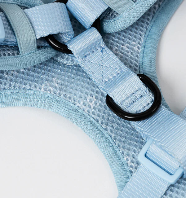 Pale Blue Harness