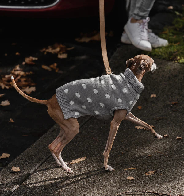 Tan Standard Leather Lead