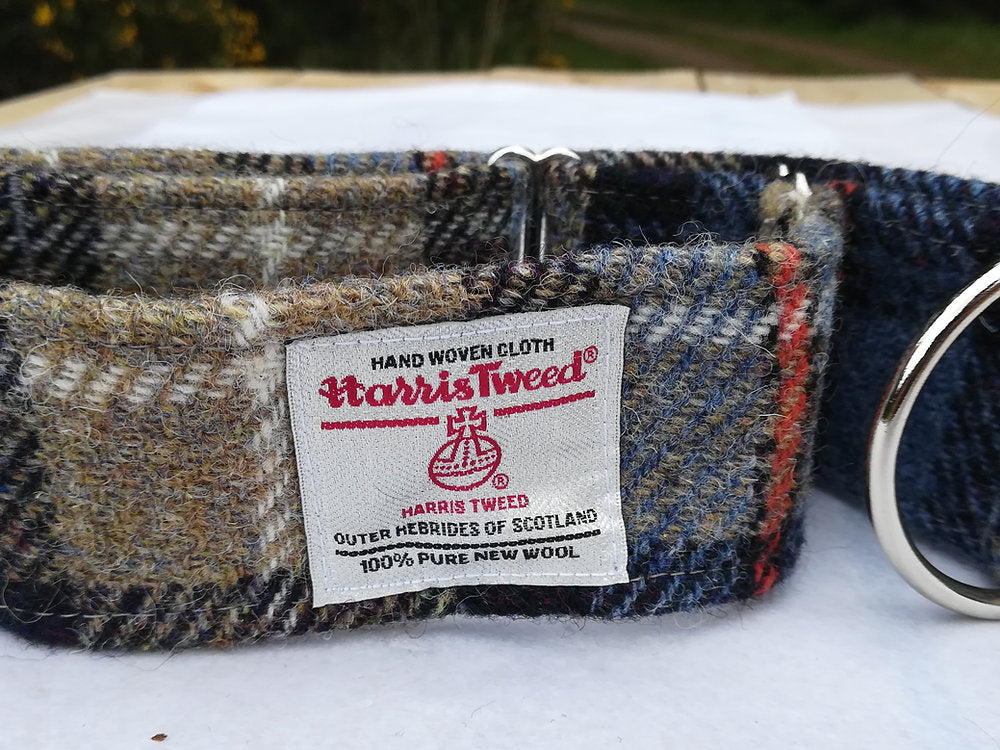 Martingale Greyhound Collar - Blue and Beige Check