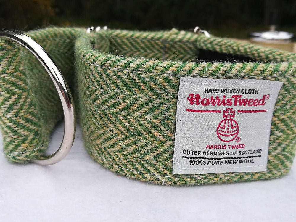 Martingale Greyhound Collar - Green Herringbone