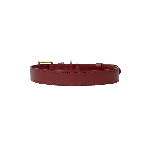 Coopers Maple Red Luxury Leather Designer Dog Collar