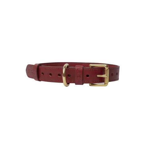 Coopers Maple Red Luxury Leather Designer Dog Collar