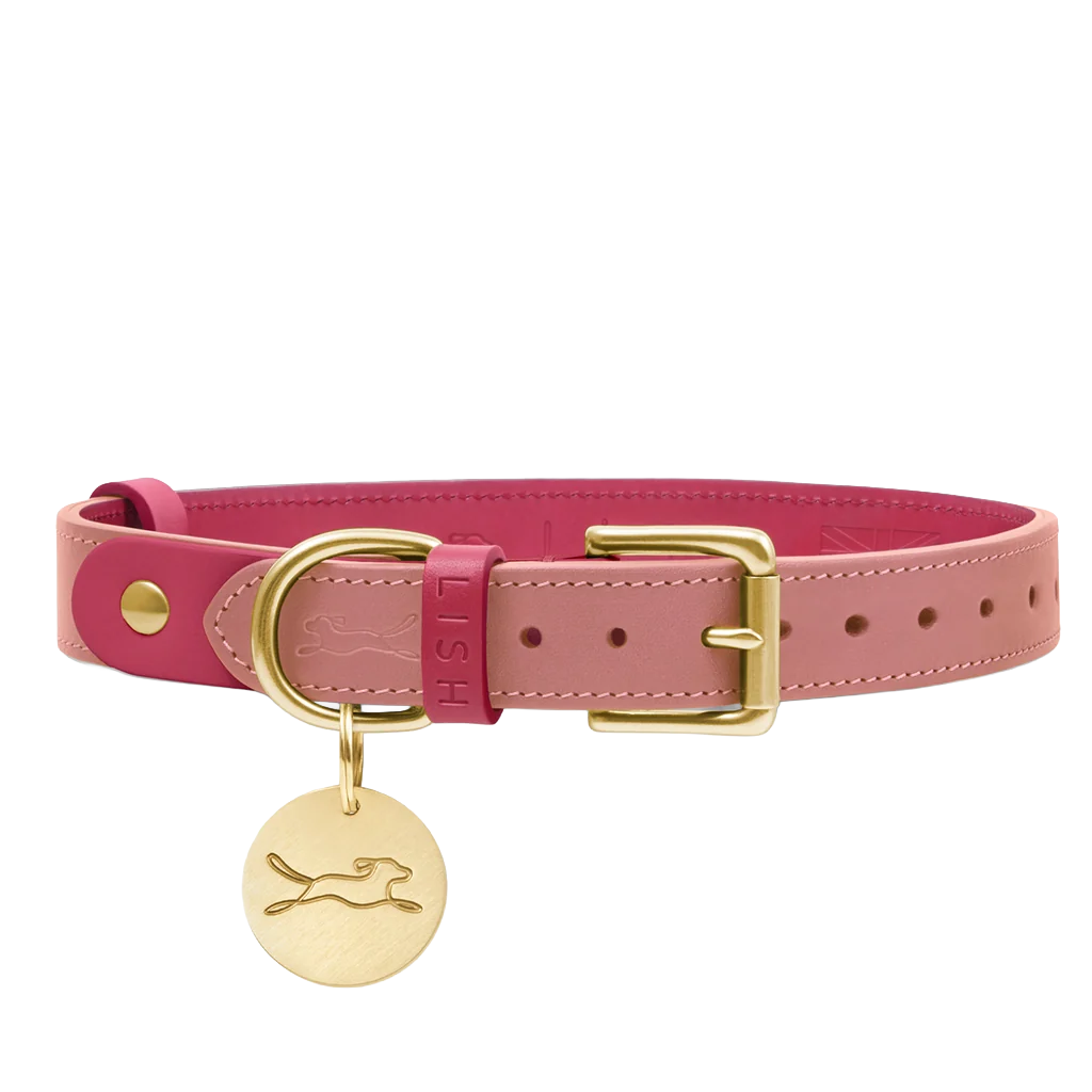 Spencer Rhubarb Pink Designer Luxury Leather Dog Collar