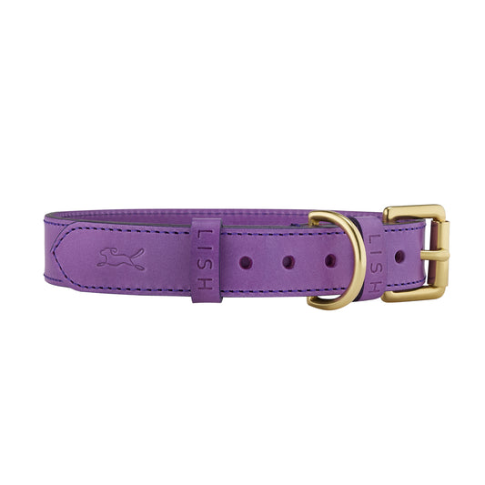 Coopers Violet Luxury Leather Dog Collar