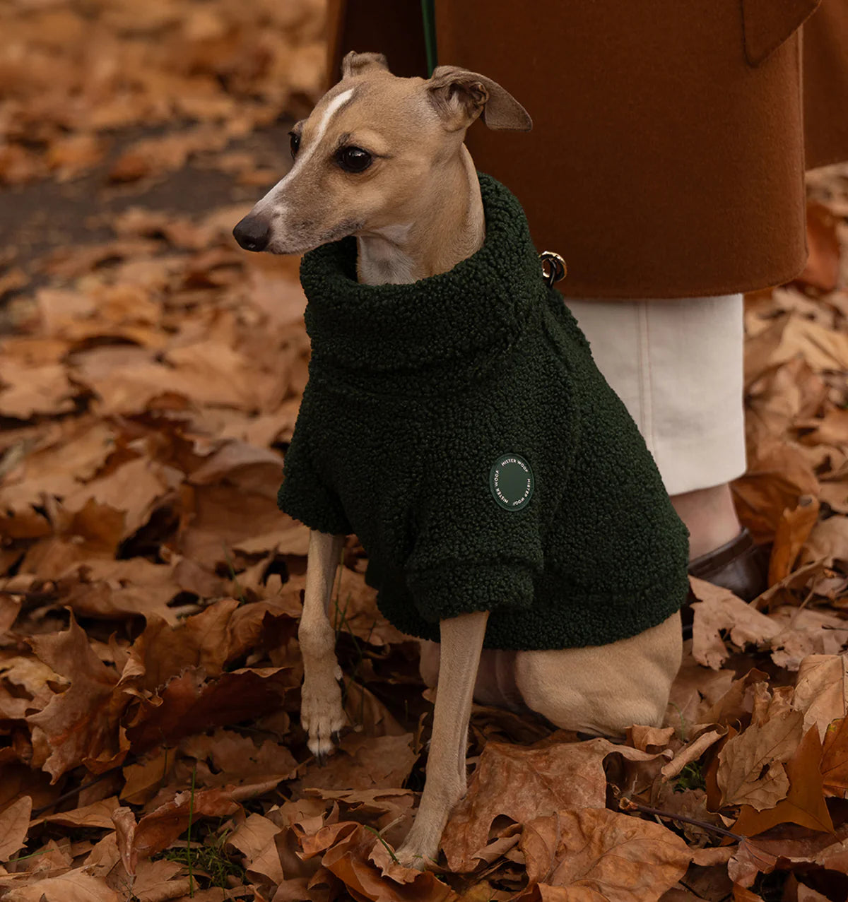 Forest Green Teddy Jumper