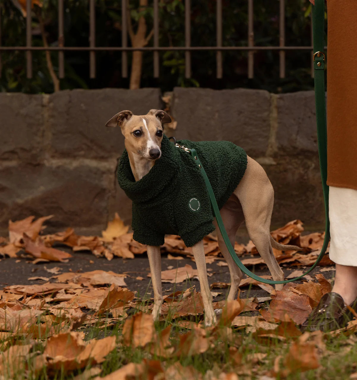Forest Green Teddy Jumper