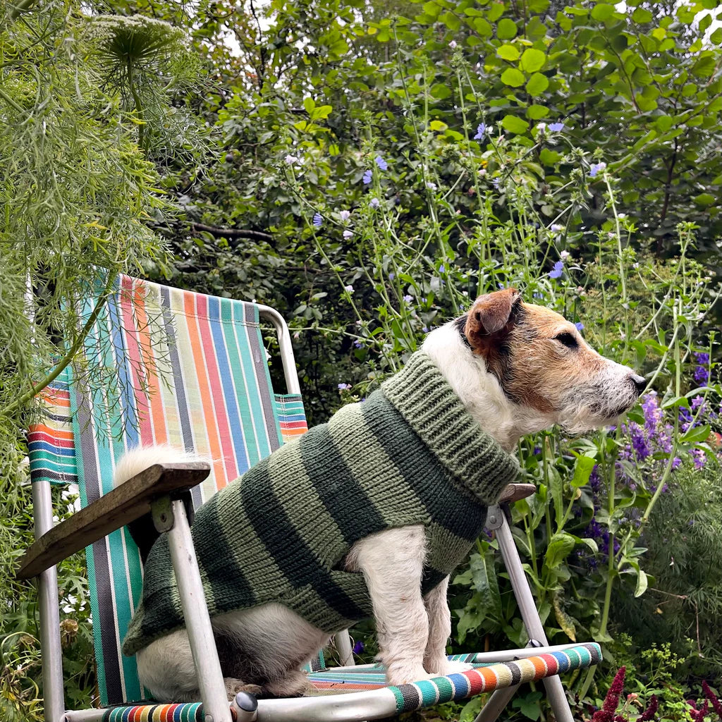 Smithy Sage & Mint Green Stripe Polo Neck Dog Sweater