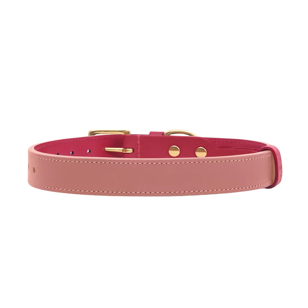 Spencer Rhubarb Pink Designer Luxury Leather Dog Collar