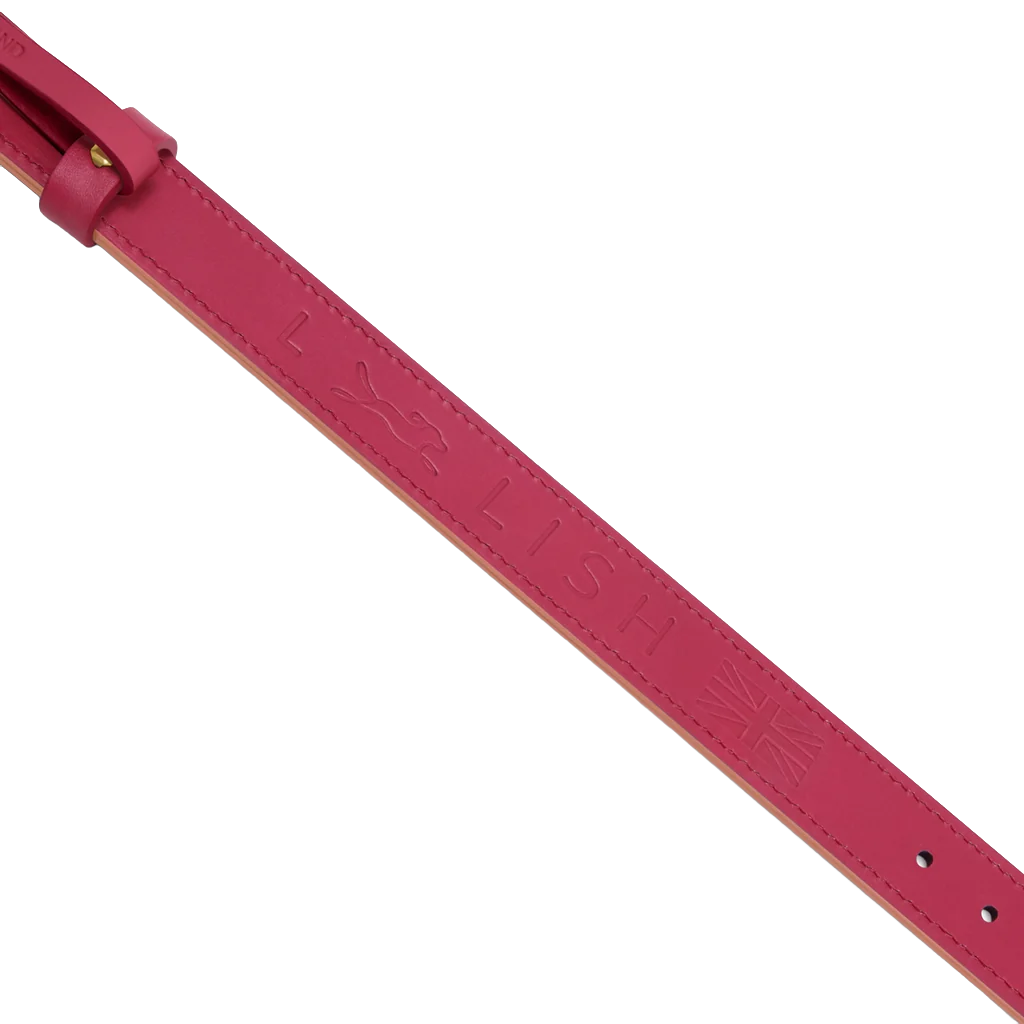 Spencer Rhubarb Pink Designer Luxury Leather Dog Collar