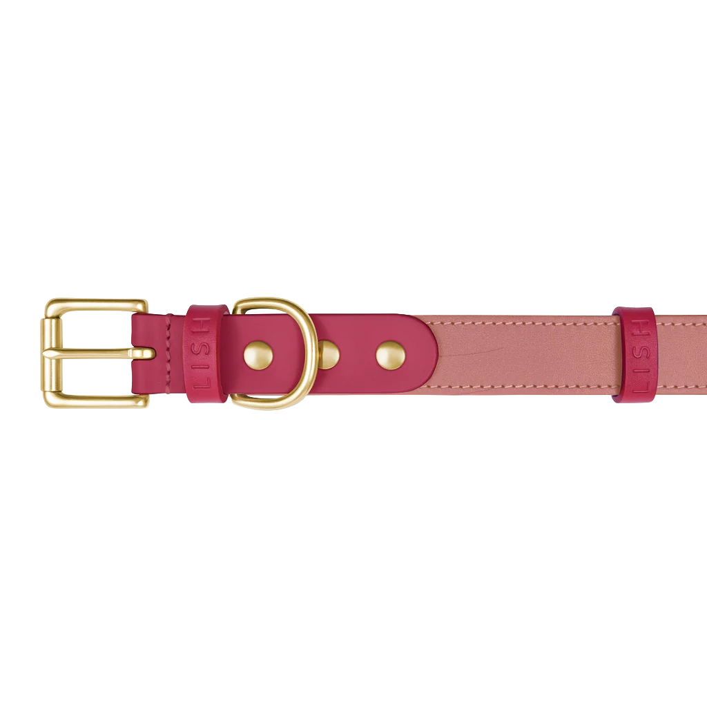 Spencer Rhubarb Pink Designer Luxury Leather Dog Collar