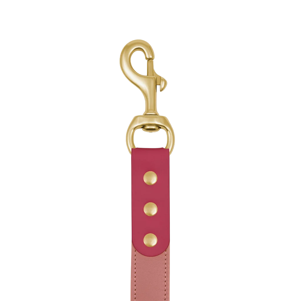 Spencer Rhubarb Pink Luxury Leather Dog Lead