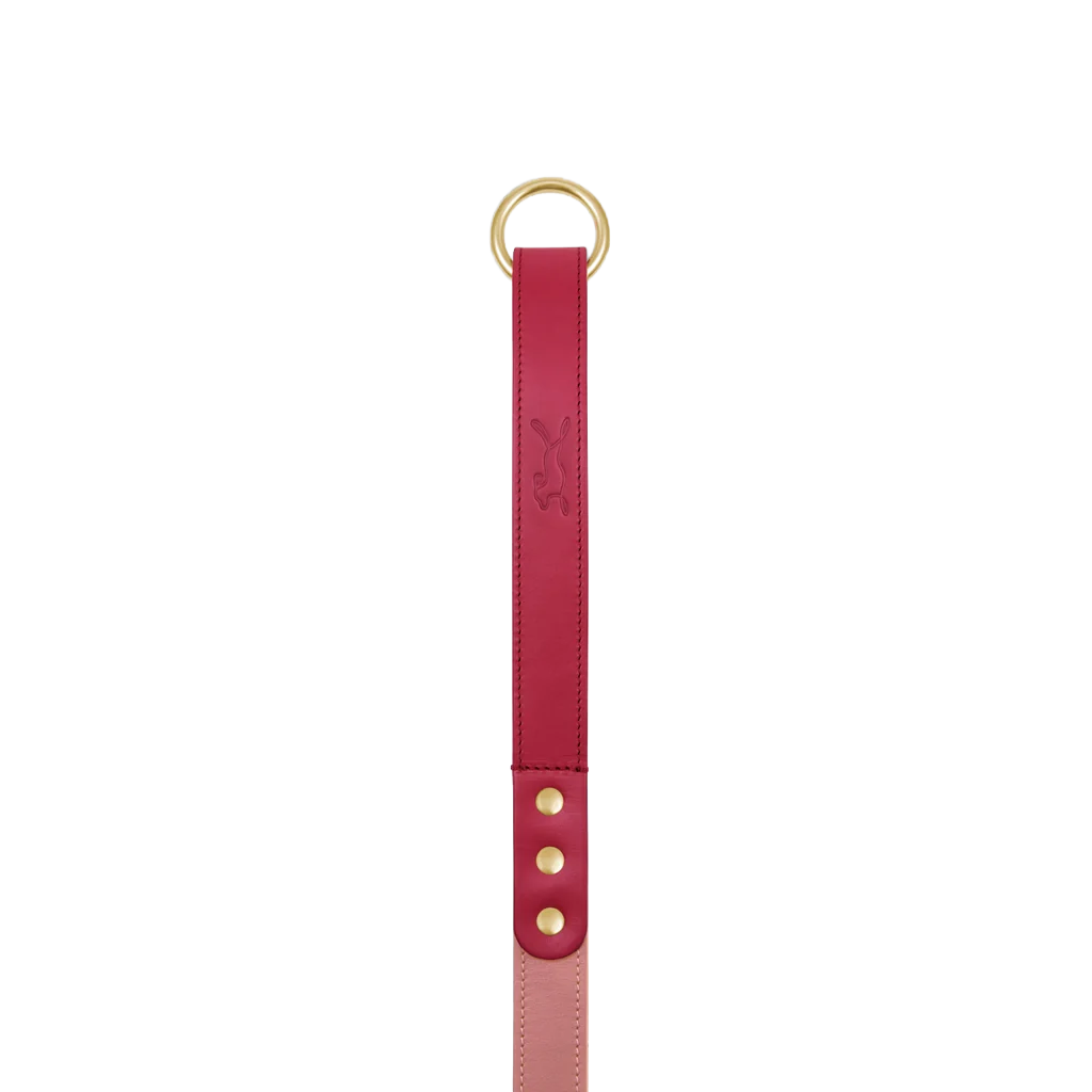 Spencer Rhubarb Pink Luxury Leather Dog Lead