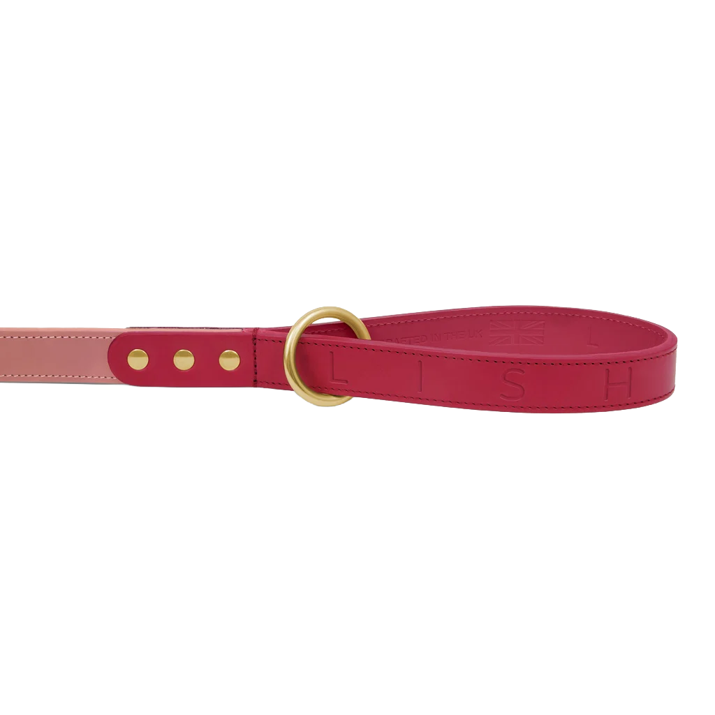 Spencer Rhubarb Pink Luxury Leather Dog Lead