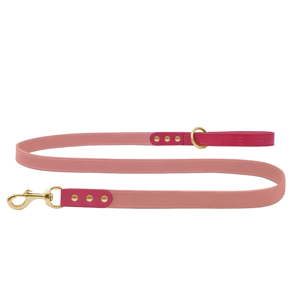 Spencer Rhubarb Pink Luxury Leather Dog Lead