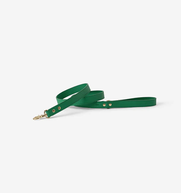 Bright Green Standard Leather Lead