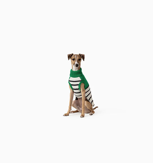 Puccie knits for dogs online