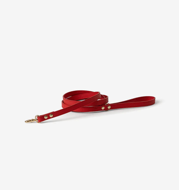 Red Skinny Leather Lead