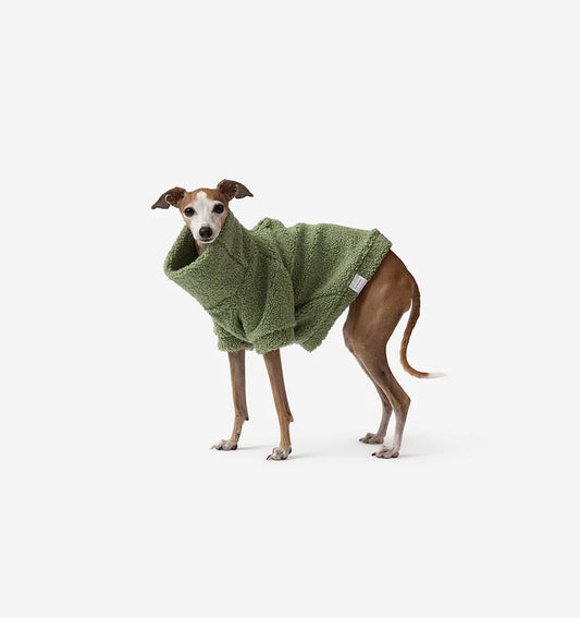 Pucci sales dog hoodie