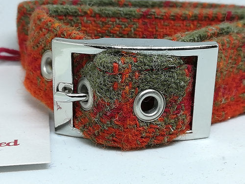 Burnt Orange, Red and Green Tweed Dog Collar